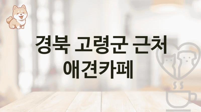 경북 고령군 근처 애견카페