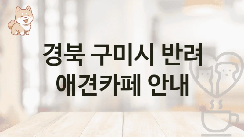 경북 구미시 반려 애견카페 안내