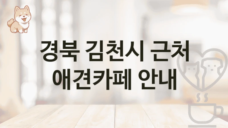경북 김천시 근처 애견카페 안내