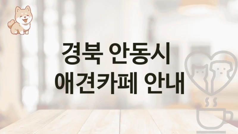경북 안동시  애견카페 안내