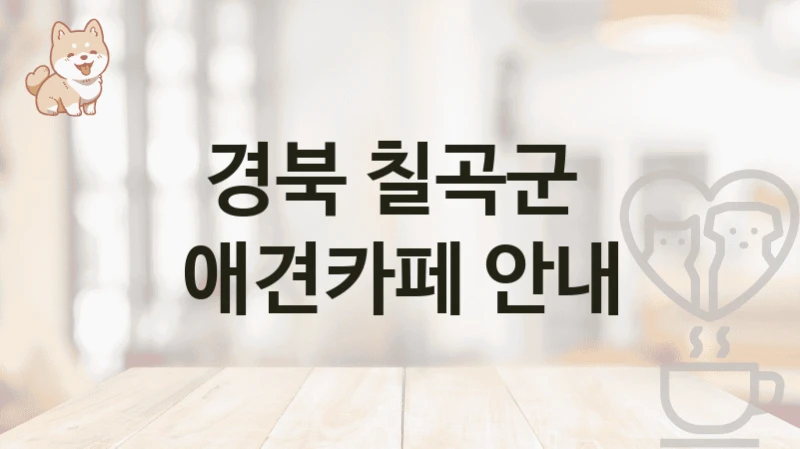 경북 칠곡군  애견카페 안내