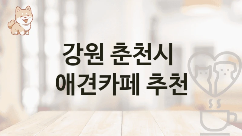 강원 춘천시  애견카페 추천