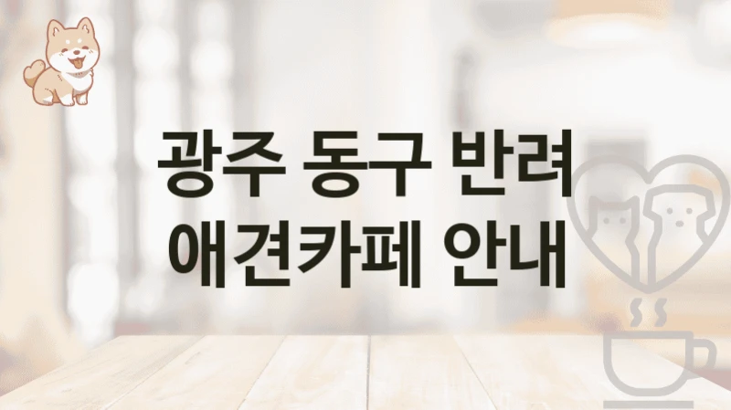 광주 동구 반려 애견카페 안내