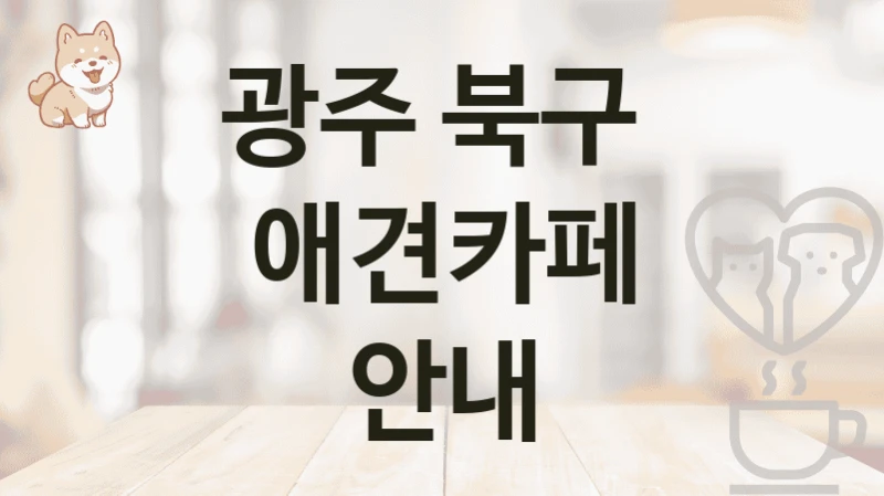 광주 북구  애견카페 안내