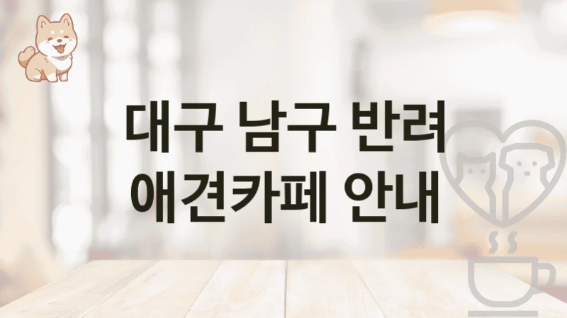 대구 남구 반려 애견카페 안내