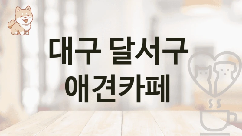 대구 달서구  애견카페