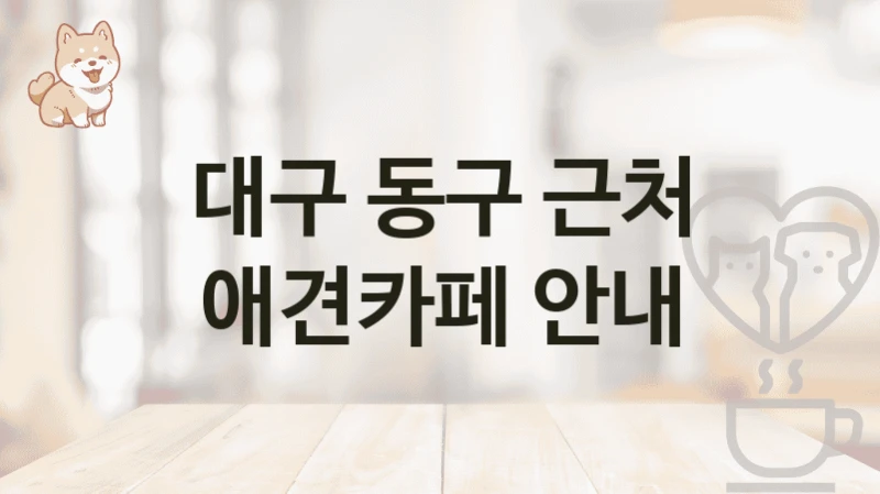대구 동구 근처 애견카페 안내