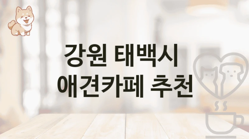 강원 태백시  애견카페 추천