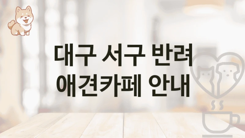 대구 서구 반려 애견카페 안내