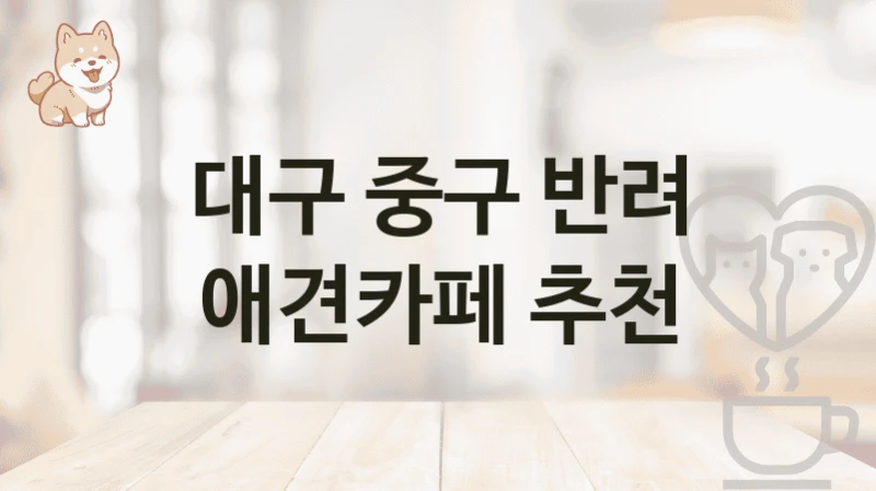 대구 중구 반려 애견카페 추천