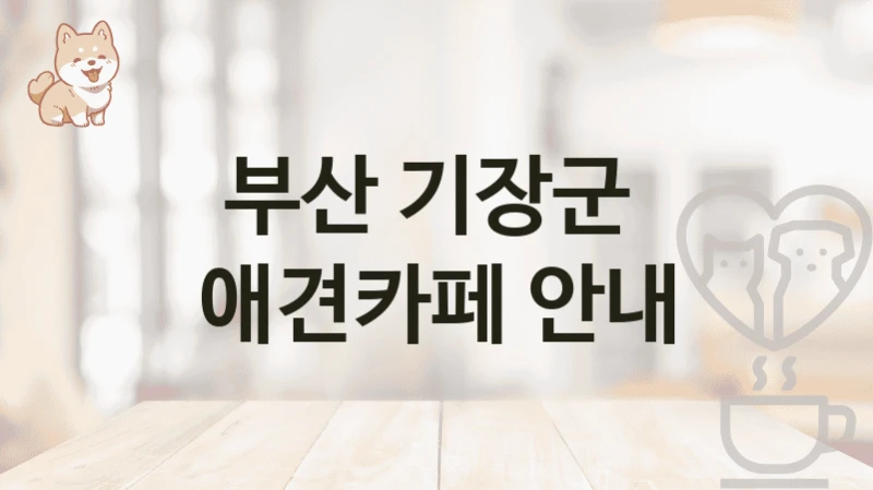 부산 기장군  애견카페 안내