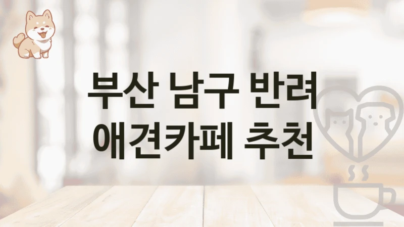 부산 남구 반려 애견카페 추천