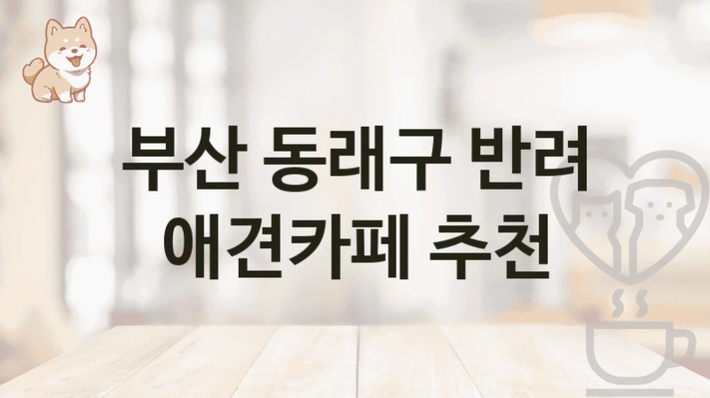 부산 동래구 반려 애견카페 추천