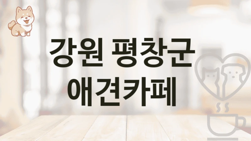 강원 평창군  애견카페