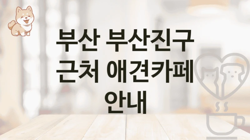 부산 부산진구 근처 애견카페 안내