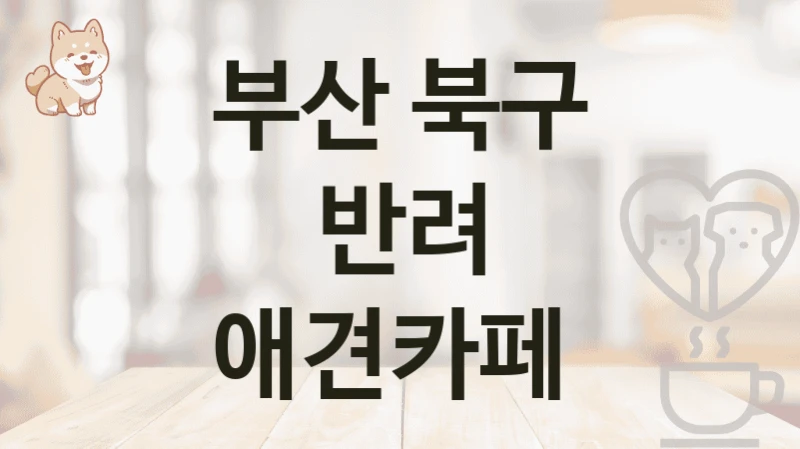 부산 북구 반려 애견카페