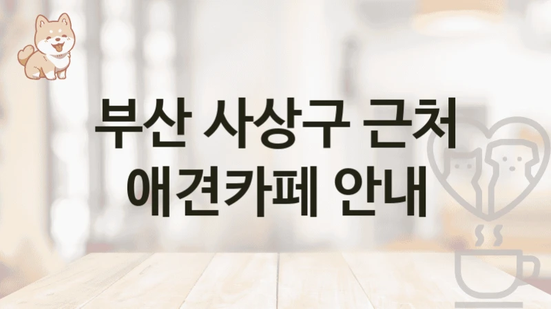 부산 사상구 근처 애견카페 안내