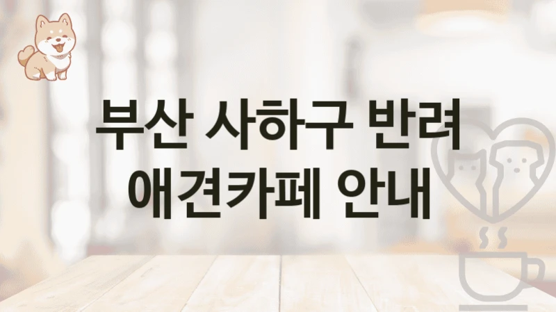 부산 사하구 반려 애견카페 안내