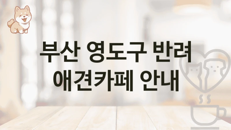 부산 영도구 반려 애견카페 안내