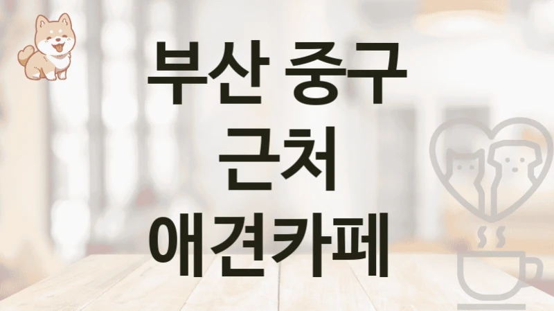 부산 중구 근처 애견카페