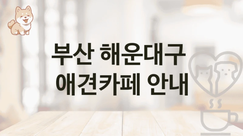 부산 해운대구  애견카페 안내