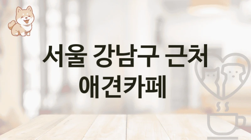 서울 강남구 근처 애견카페