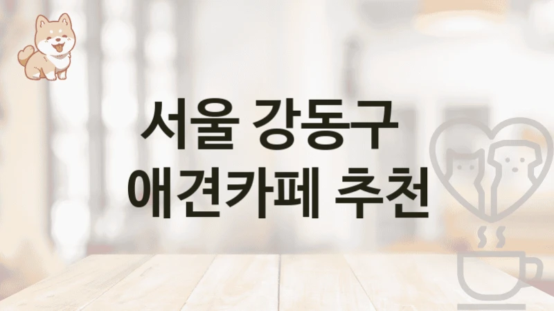 서울 강동구  애견카페 추천