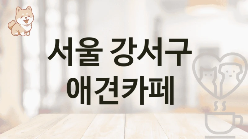 서울 강서구  애견카페