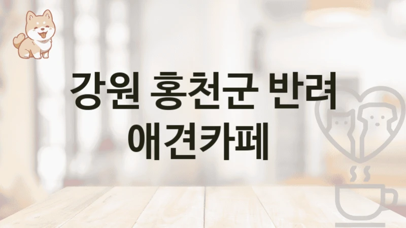 강원 홍천군 반려 애견카페