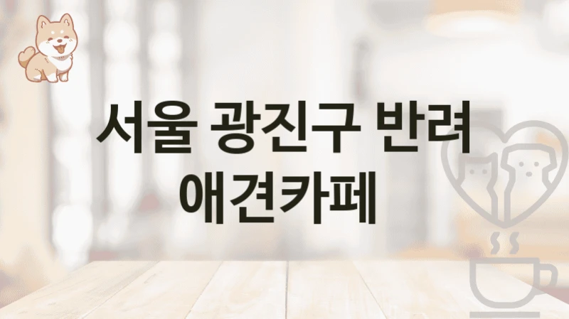 서울 광진구 반려 애견카페