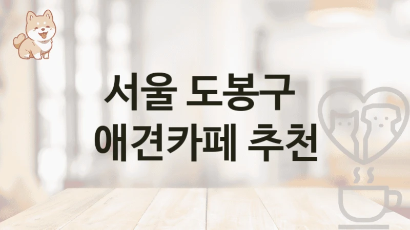 서울 도봉구  애견카페 추천