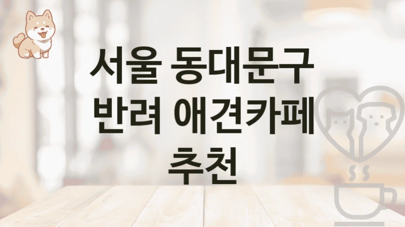 서울 동대문구 반려 애견카페 추천