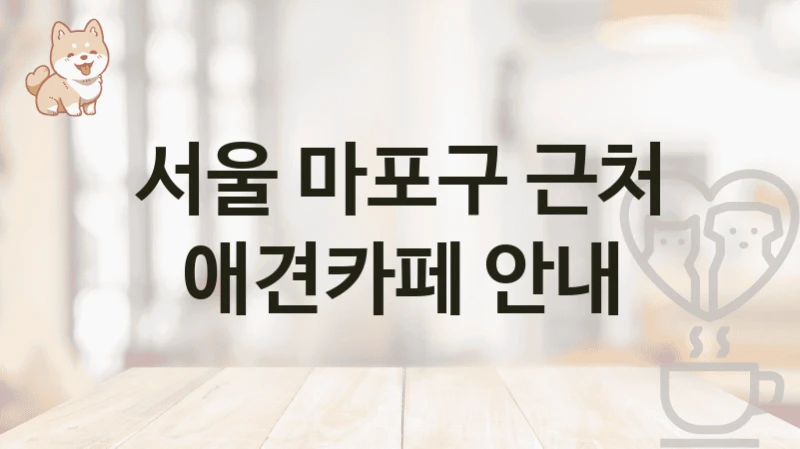 서울 마포구 근처 애견카페 안내