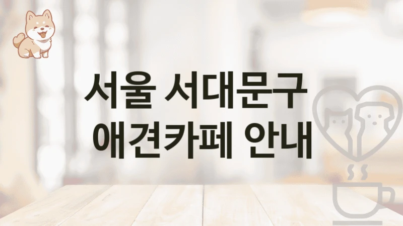 서울 서대문구  애견카페 안내