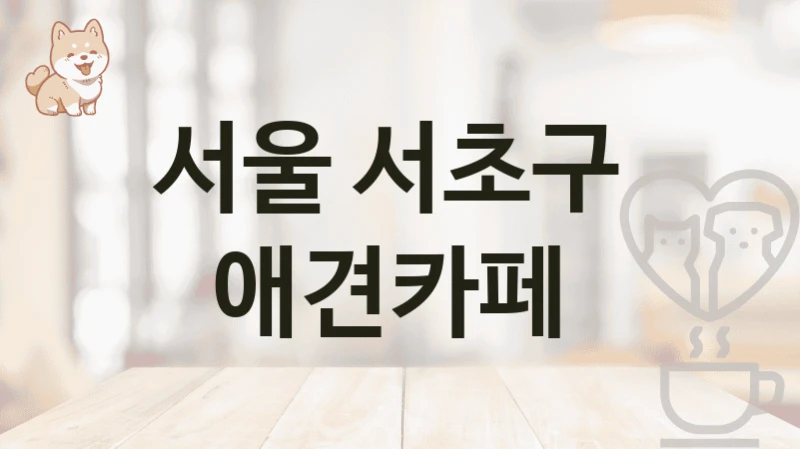 서울 서초구  애견카페
