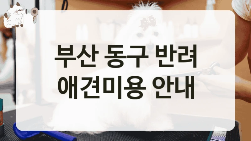 부산 동구 반려 애견미용 안내
