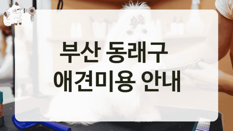 부산 동래구  애견미용 안내