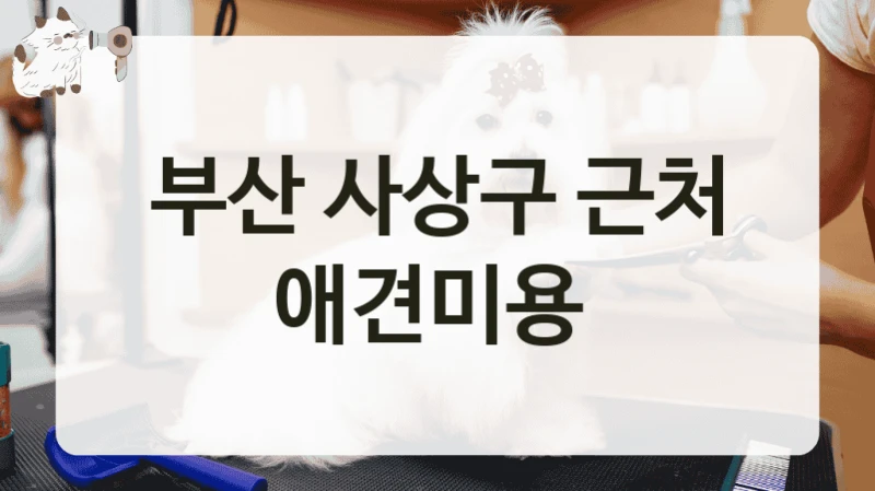 부산 사상구 근처 애견미용