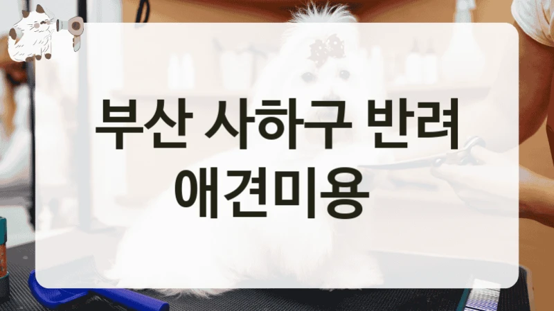 부산 사하구 반려 애견미용