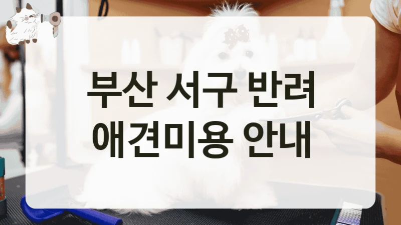 부산 서구 반려 애견미용 안내
