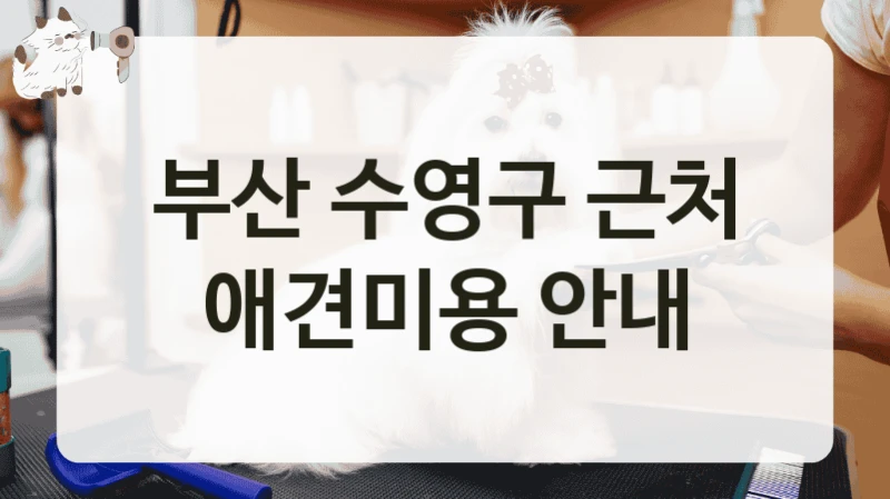 부산 수영구 근처 애견미용 안내