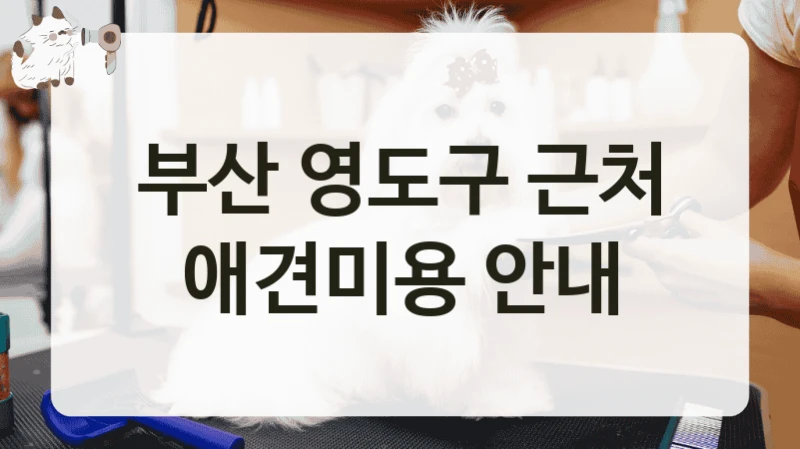 부산 영도구 근처 애견미용 안내