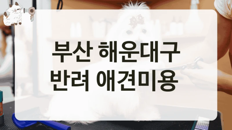 부산 해운대구 반려 애견미용