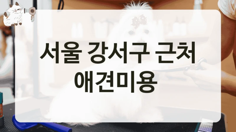 서울 강서구 근처 애견미용