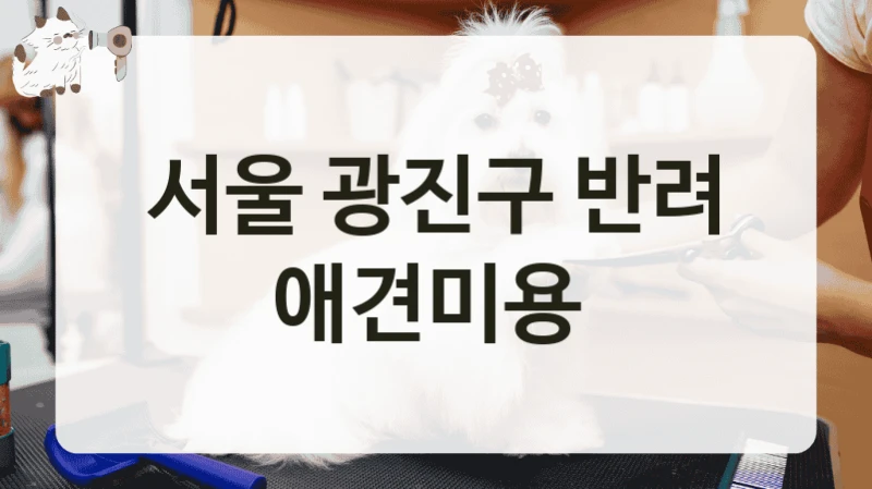 서울 광진구 반려 애견미용