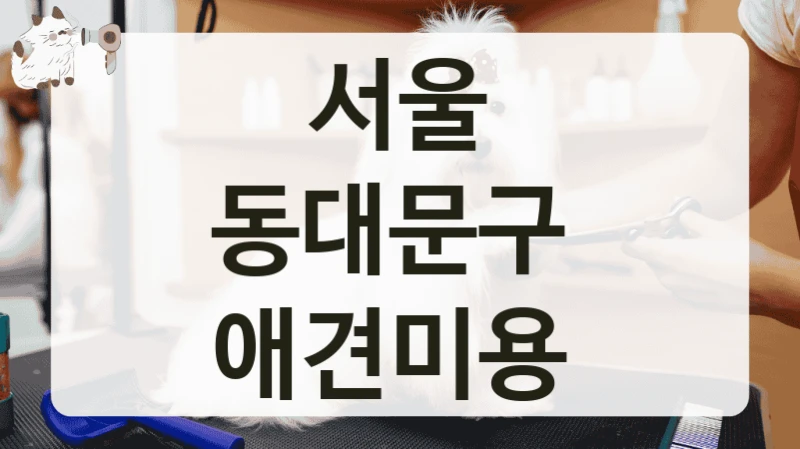 서울 동대문구  애견미용