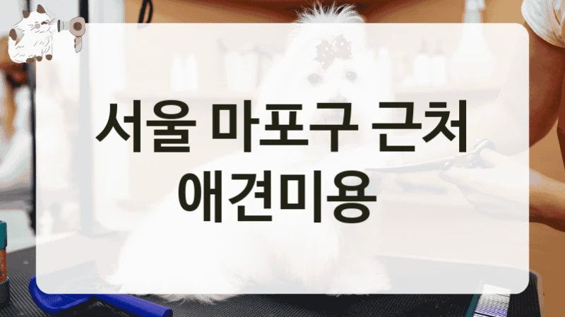서울 마포구 근처 애견미용