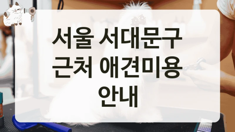 서울 서대문구 근처 애견미용 안내