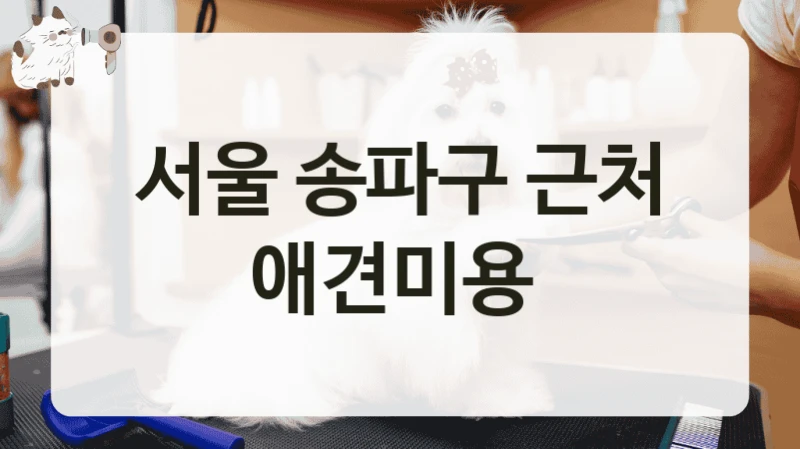 서울 송파구 근처 애견미용
