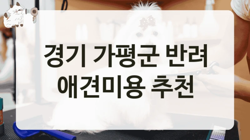 경기 가평군 반려 애견미용 추천